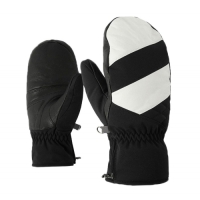 Ski Gloves 