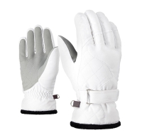 Ski Gloves 