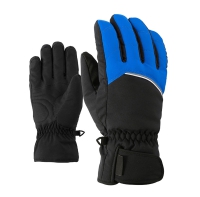 Ski Gloves 