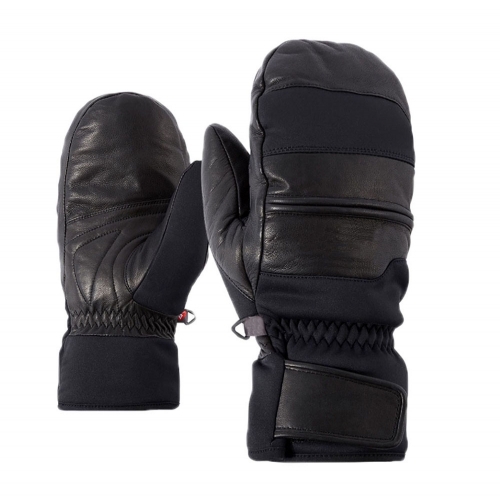 Ski Gloves 