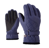 Ski Gloves 