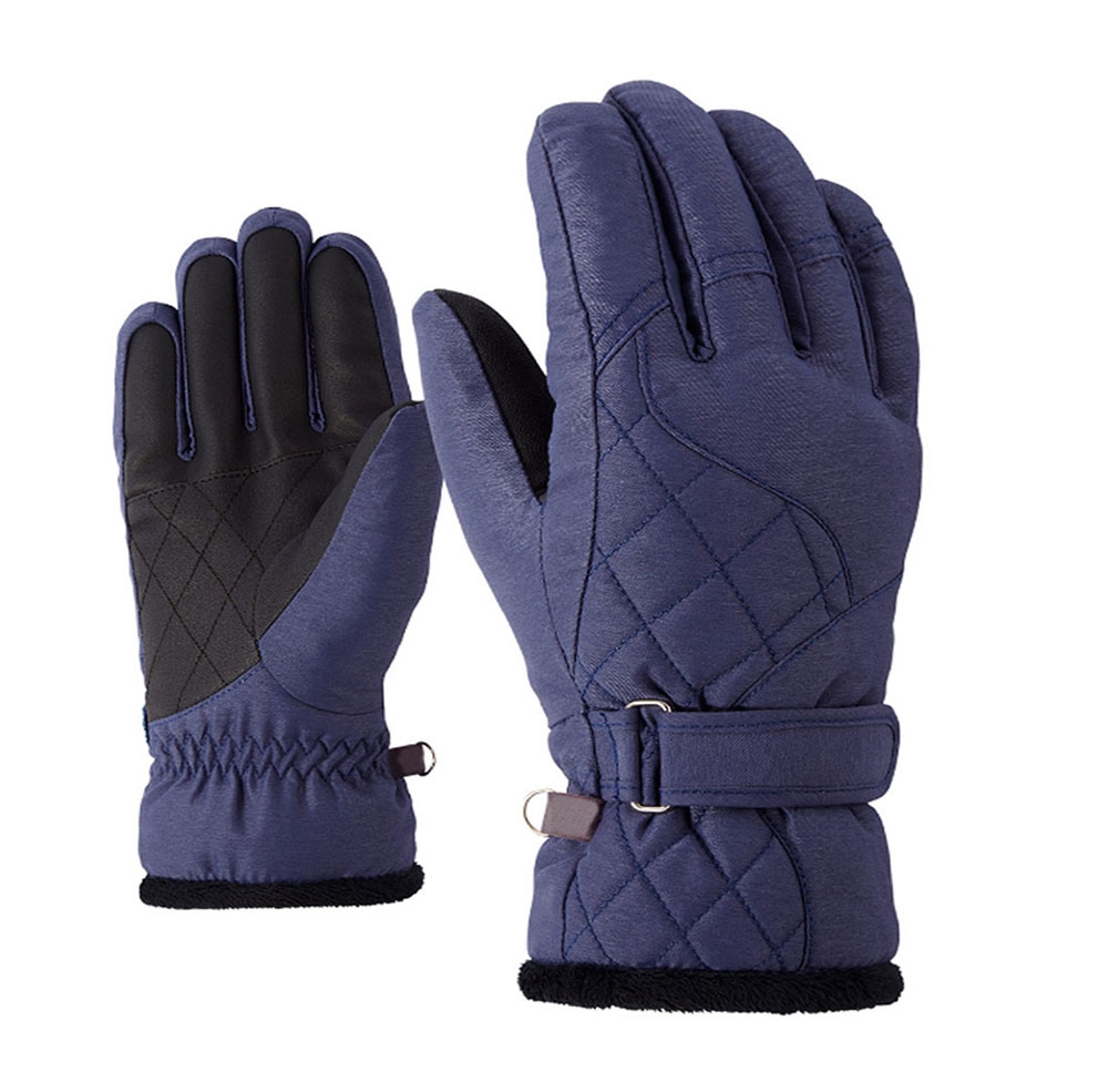 Ski Gloves 