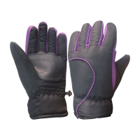 Ski Gloves 